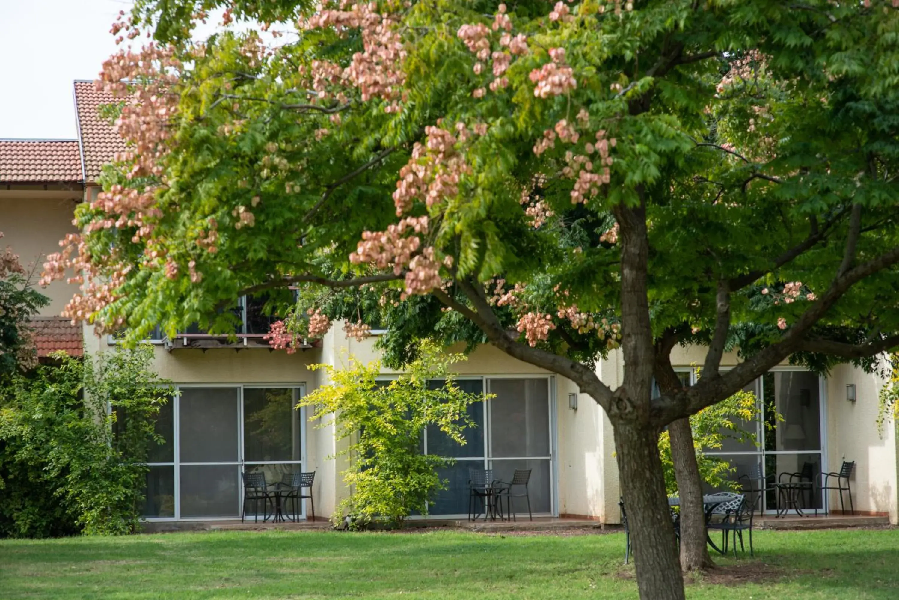 Classic Garden Room with Terrace - single occupancy in Pastoral Hotel - Kfar Blum Classic Garden Room with Terrace - single occupancy in Pastoral Hotel - Kfar Blum