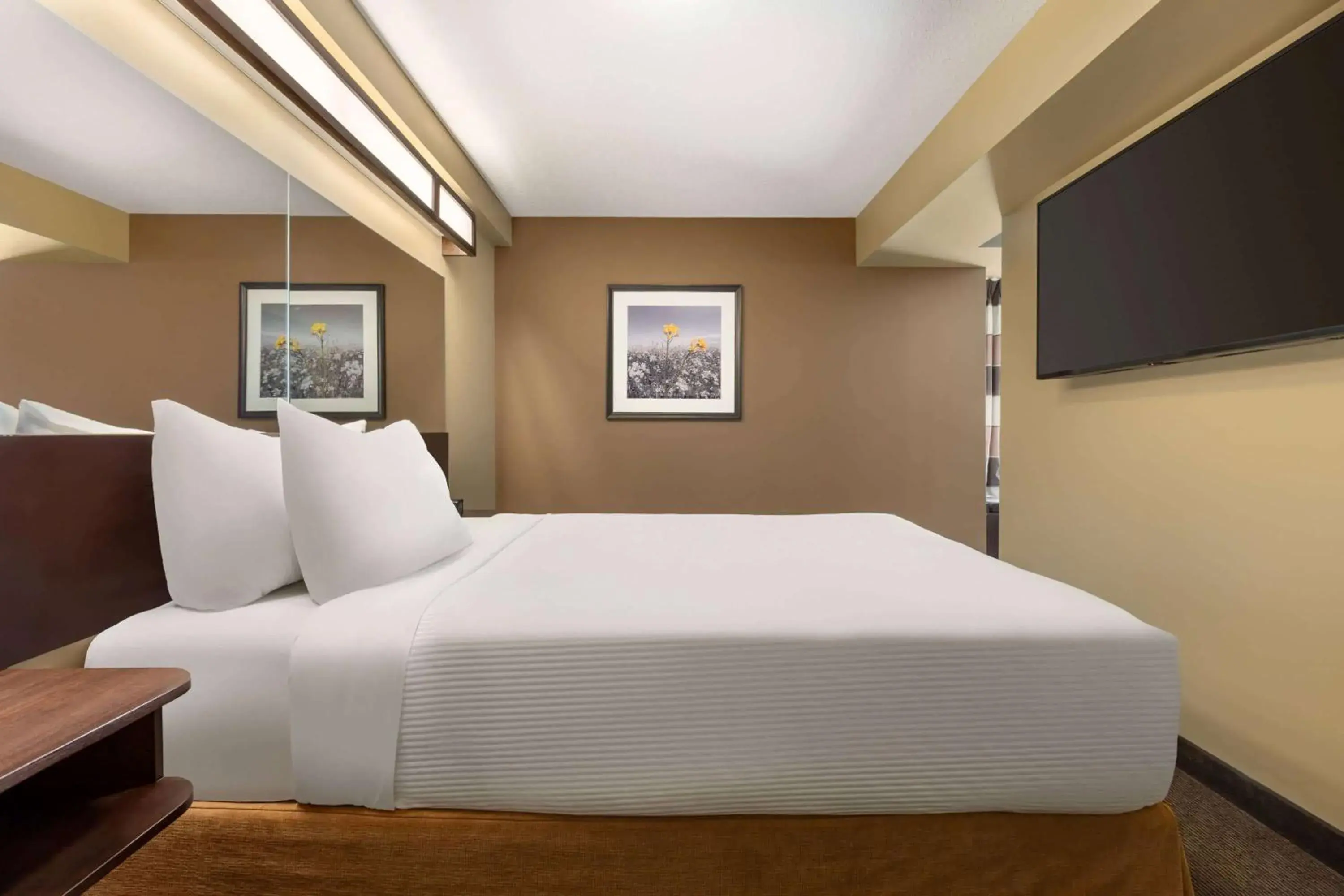 1 Queen Bed, Studio Suite w/ Sofa Bed, Non-Smoking in Microtel Inn and Suites by Wyndham Weyburn 1 Queen Bed, Studio Suite w/ Sofa Bed, Non-Smoking in Microtel Inn and Suites by Wyndham Weyburn