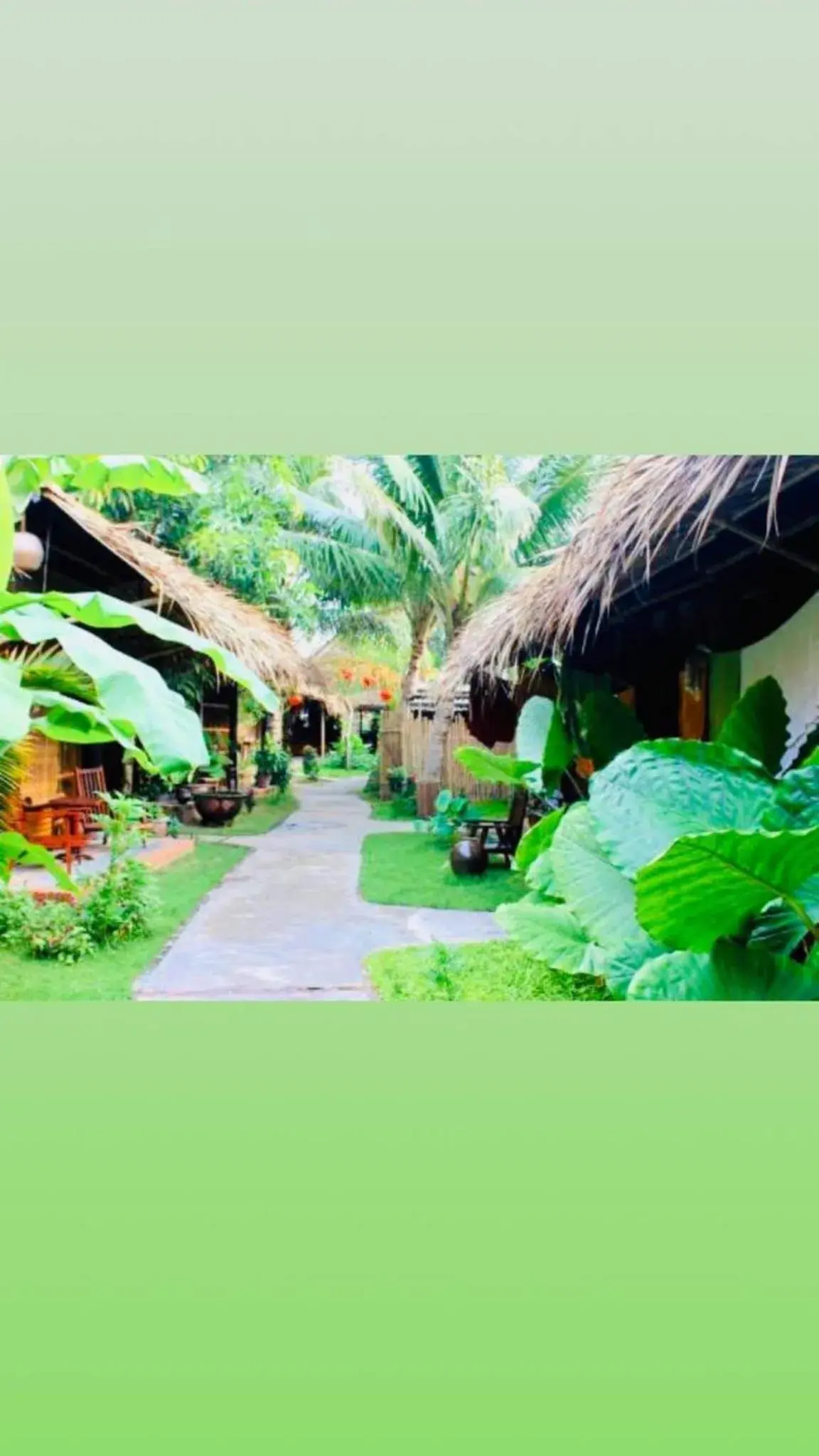 Under The Coconut Tree Hoi An Homestay Under The Coconut Tree Hoi An Homestay
