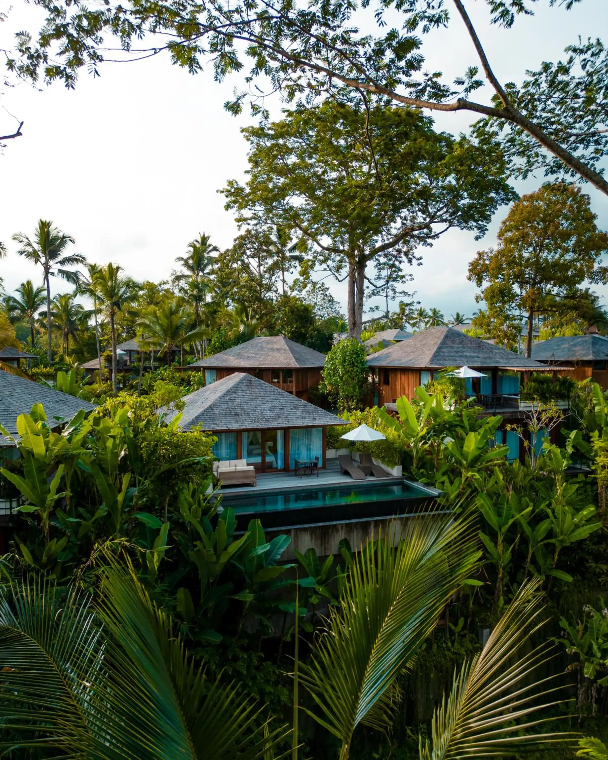 Deluxe Pool Villa with Daily Scheduled Activities in Kappa Senses Ubud Deluxe Pool Villa with Daily Scheduled Activities in Kappa Senses Ubud
