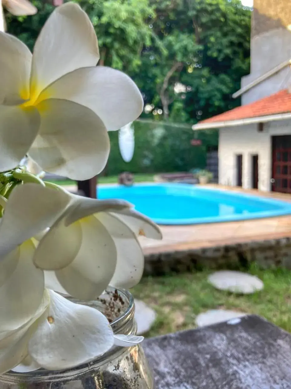 Pousada Toa Toa Em Pipa Pousada Toa Toa Em Pipa