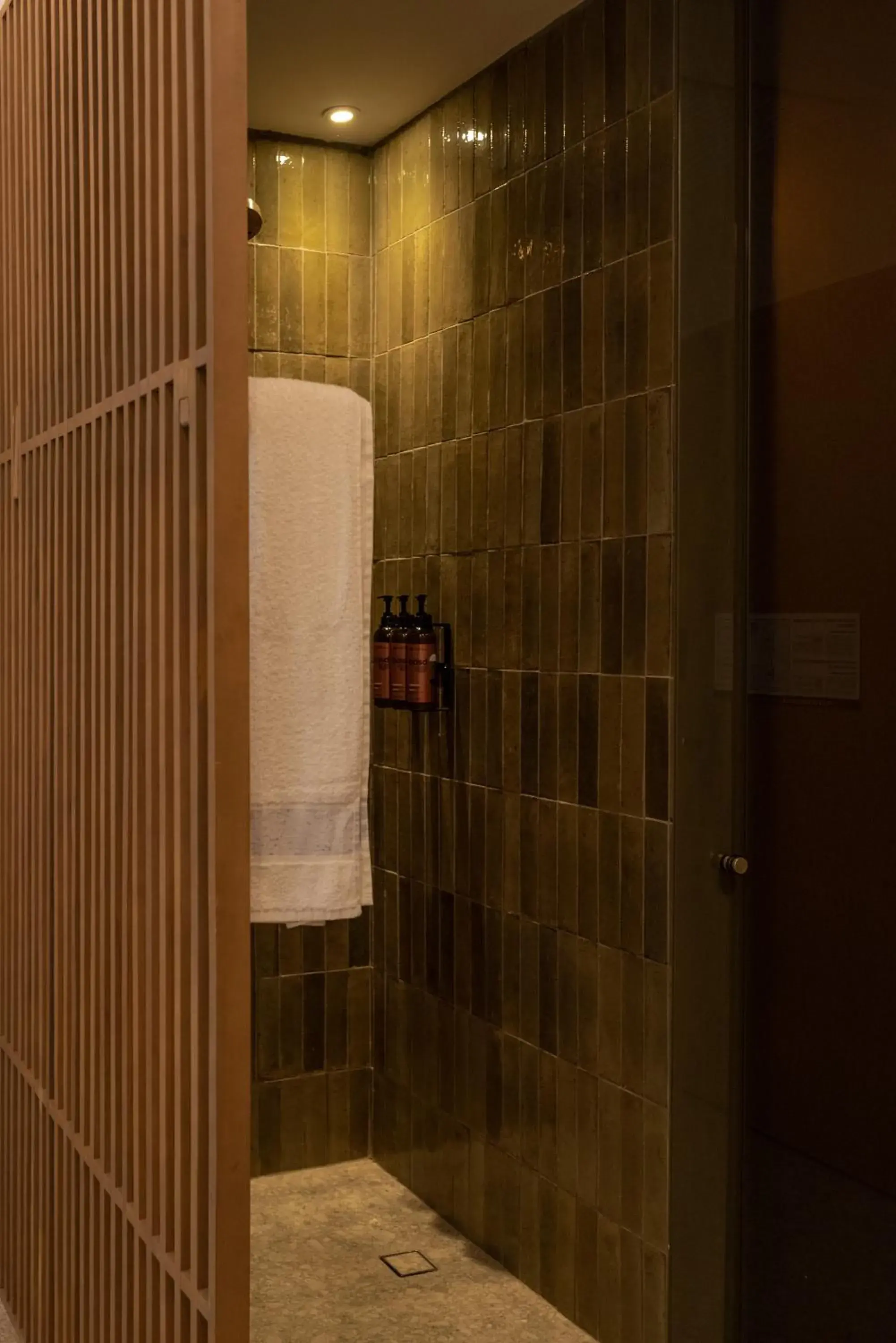 Family Suite in Motto By Hilton Tulum Family Suite in Motto By Hilton Tulum