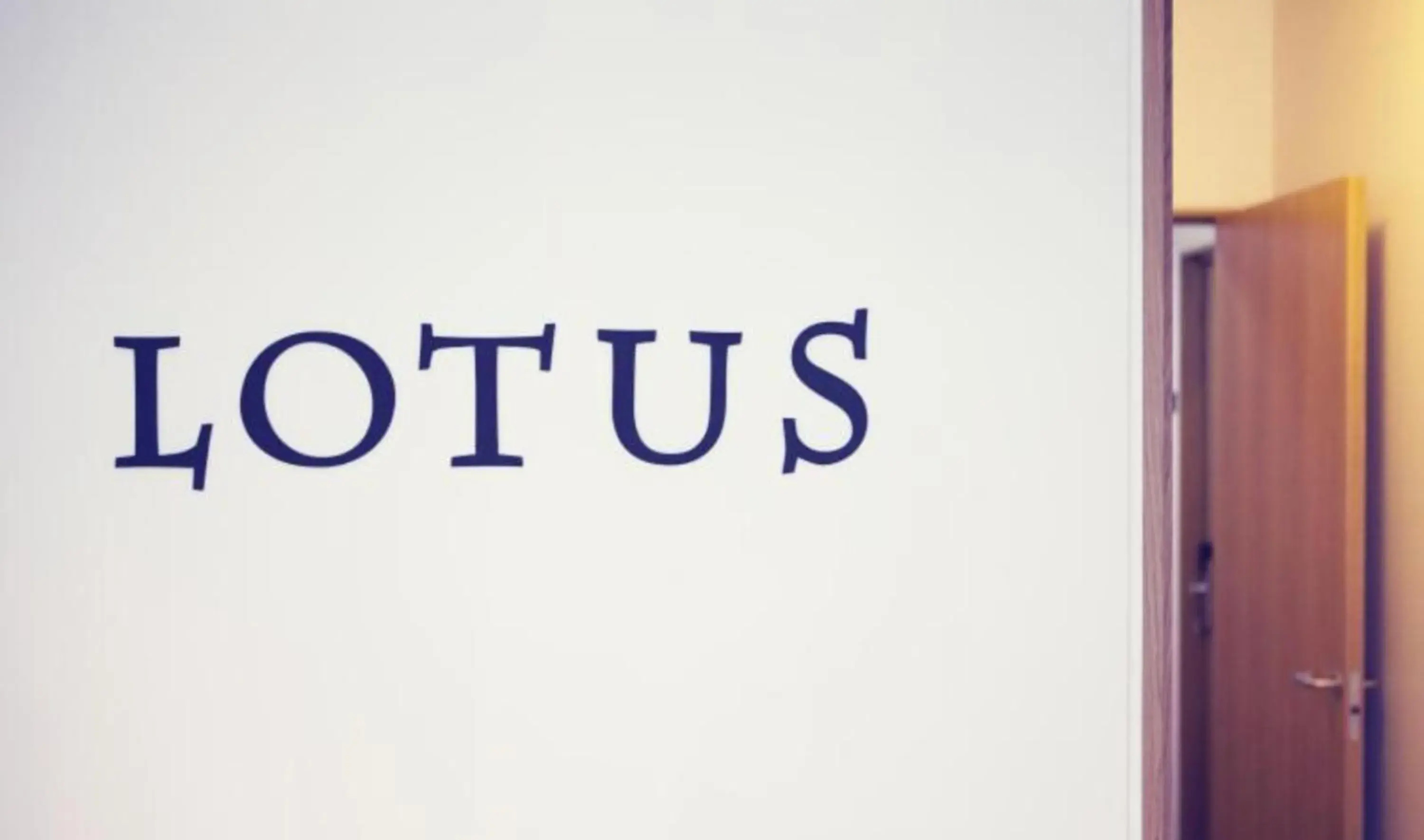 Single Room in Hotel Lotus Single Room in Hotel Lotus