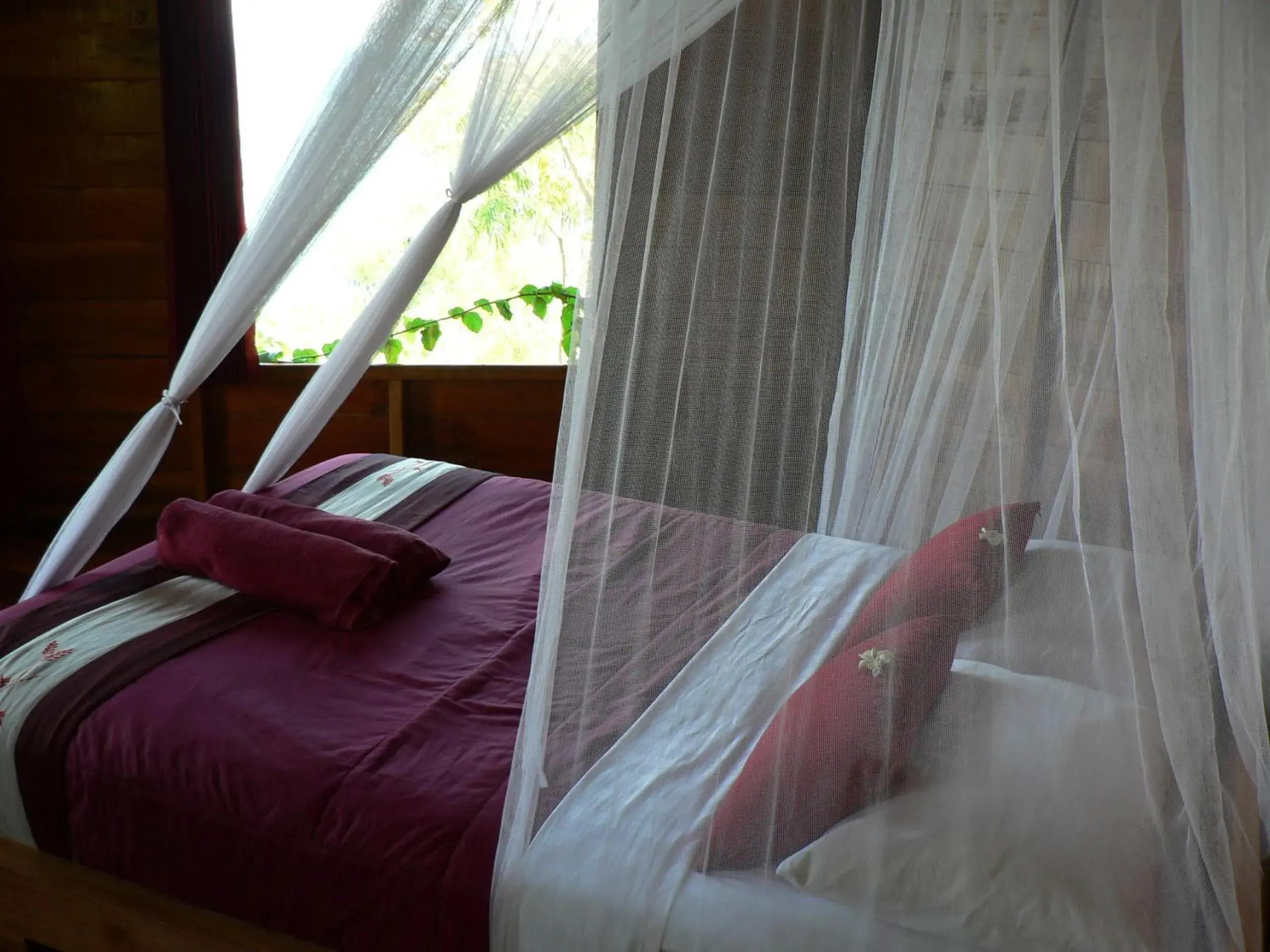 Premium Double Room with Sea View in Waecicu Eden Beach Hotel Premium Double Room with Sea View in Waecicu Eden Beach Hotel