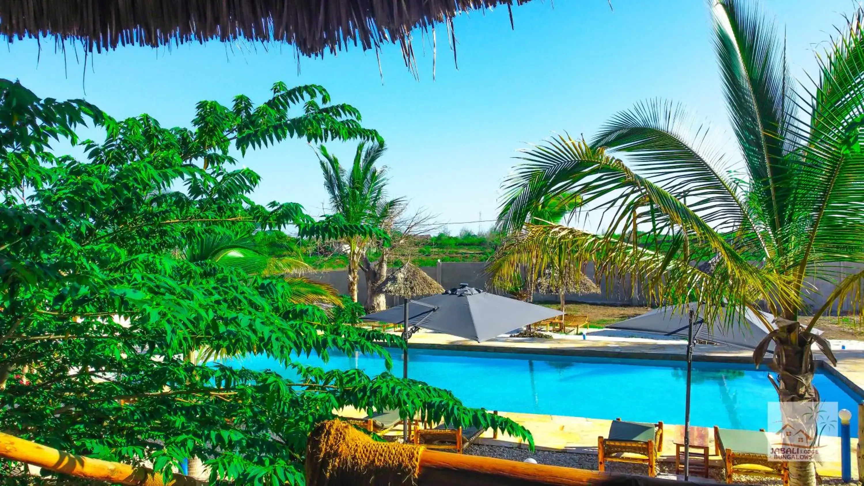 Double Room with Pool View - single occupancy in Jabali Bungalows Lodge Double Room with Pool View - single occupancy in Jabali Bungalows Lodge