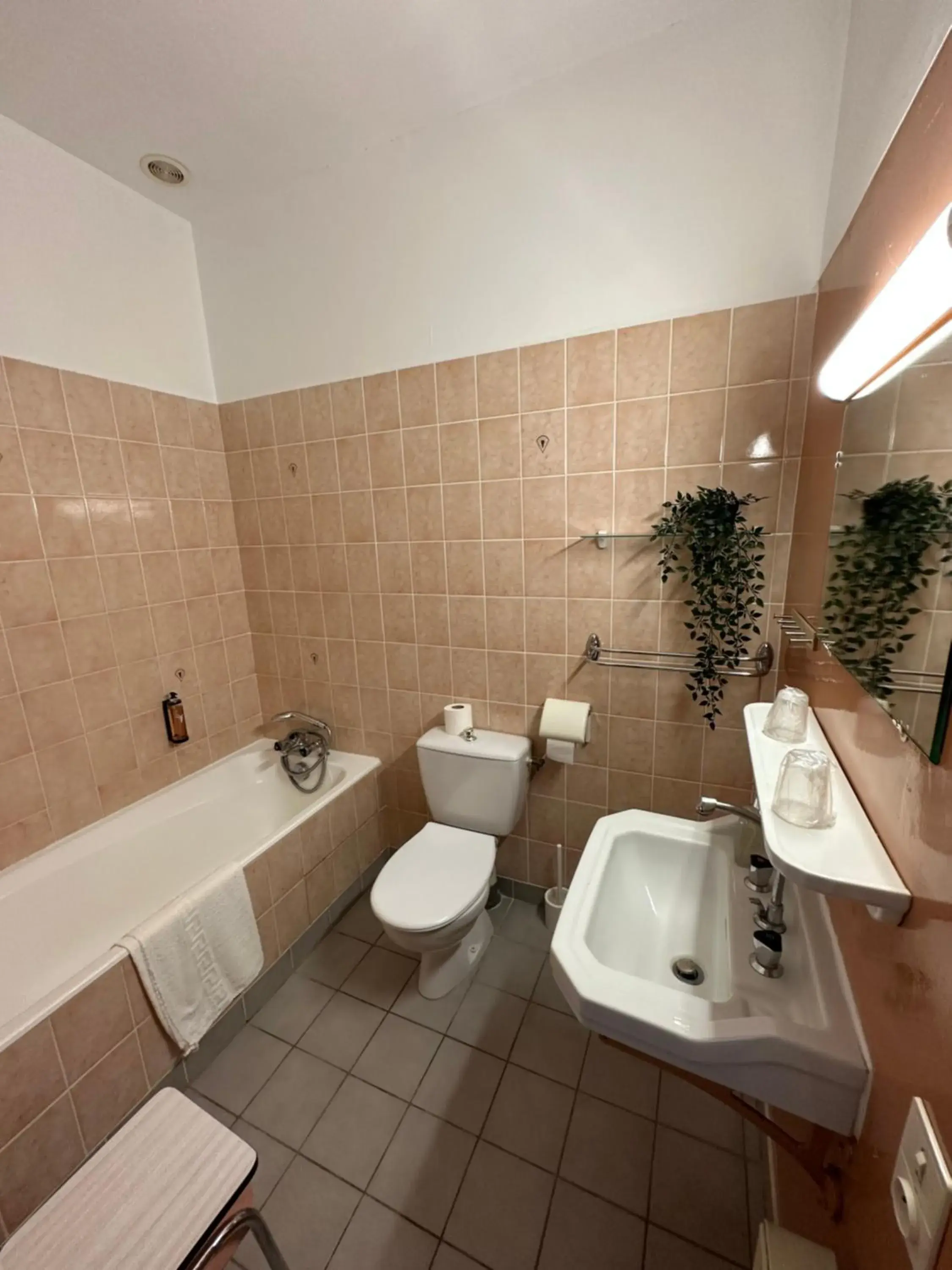 Double Room in Les Terrasses Double Room in Les Terrasses