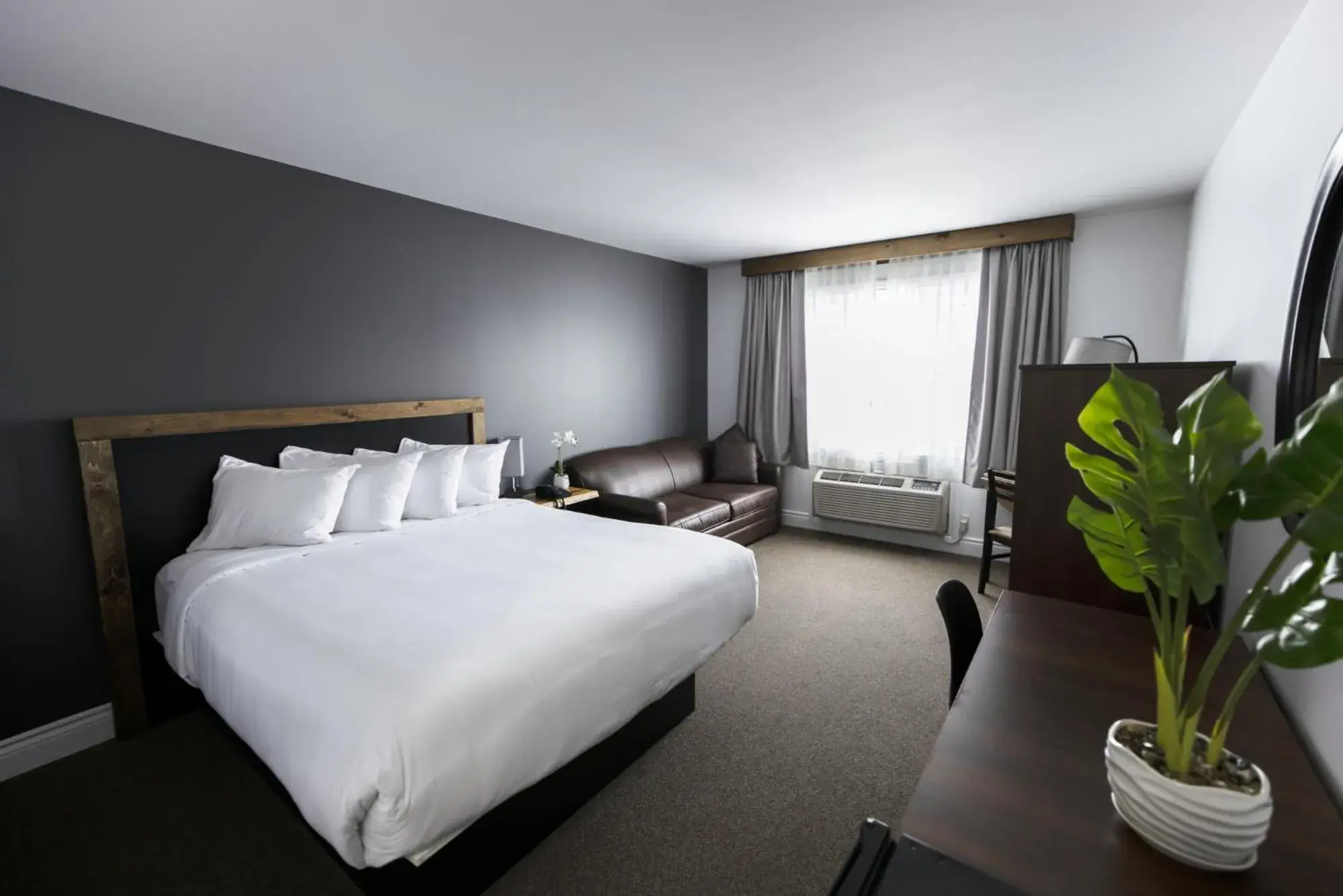 Double Room in Hôtel Napoléon Double Room in Hôtel Napoléon