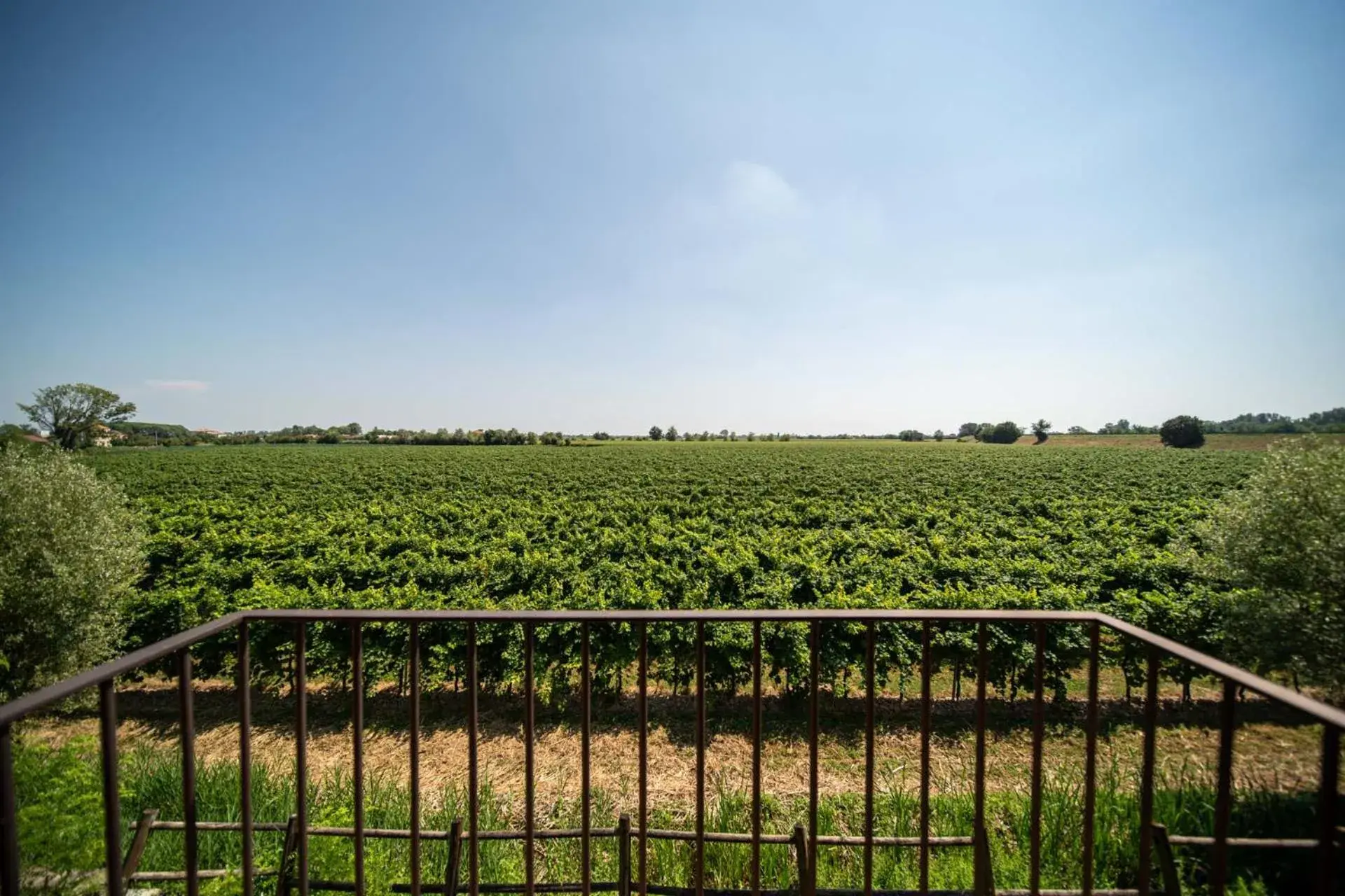 Superior Plus Room in Borgo Ronchetto Superior Plus Room in Borgo Ronchetto