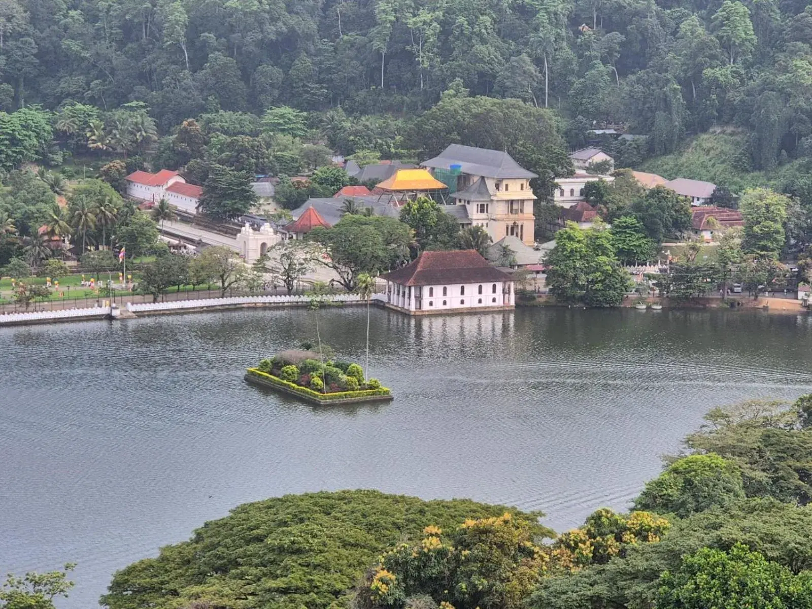 Lazy Bear Best Hostel in Kandy Lazy Bear Best Hostel in Kandy