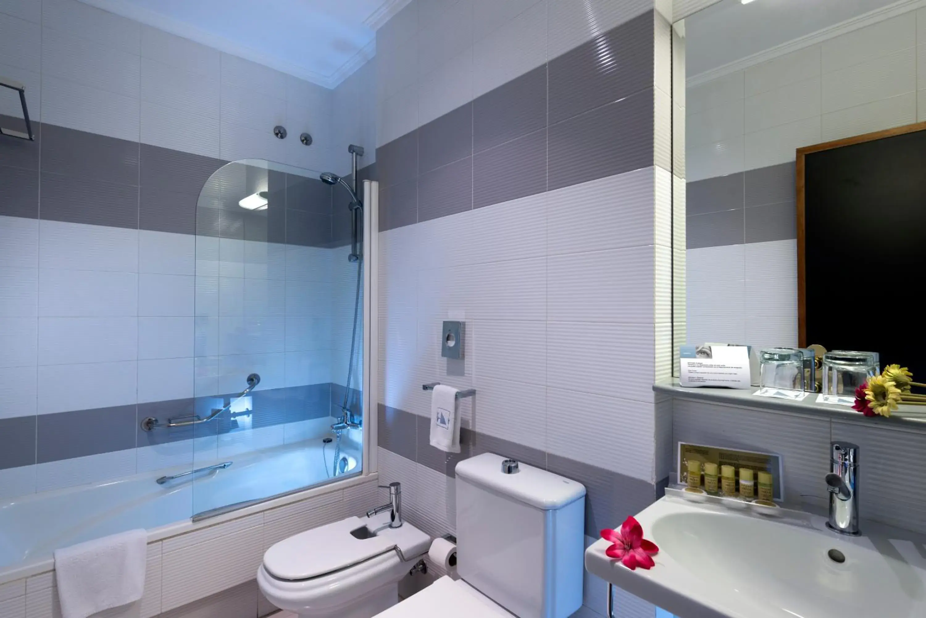 Single Room in Exe Auriense Single Room in Exe Auriense