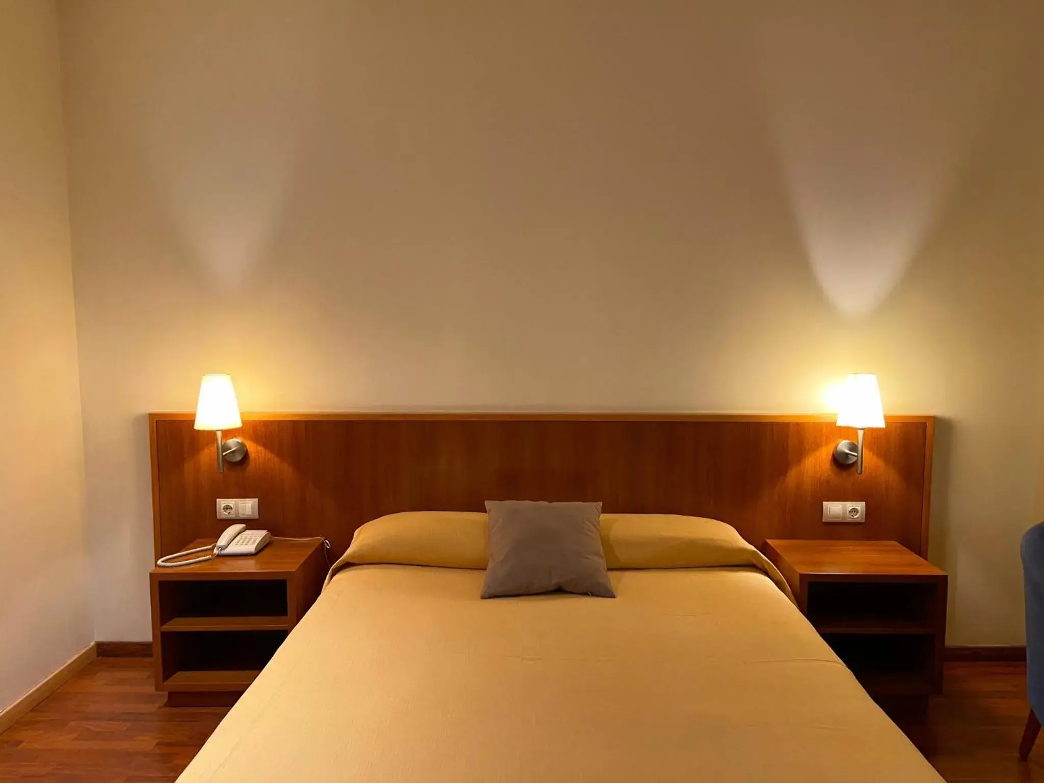 Double or Twin Room in Hotel Berga Park Double or Twin Room in Hotel Berga Park