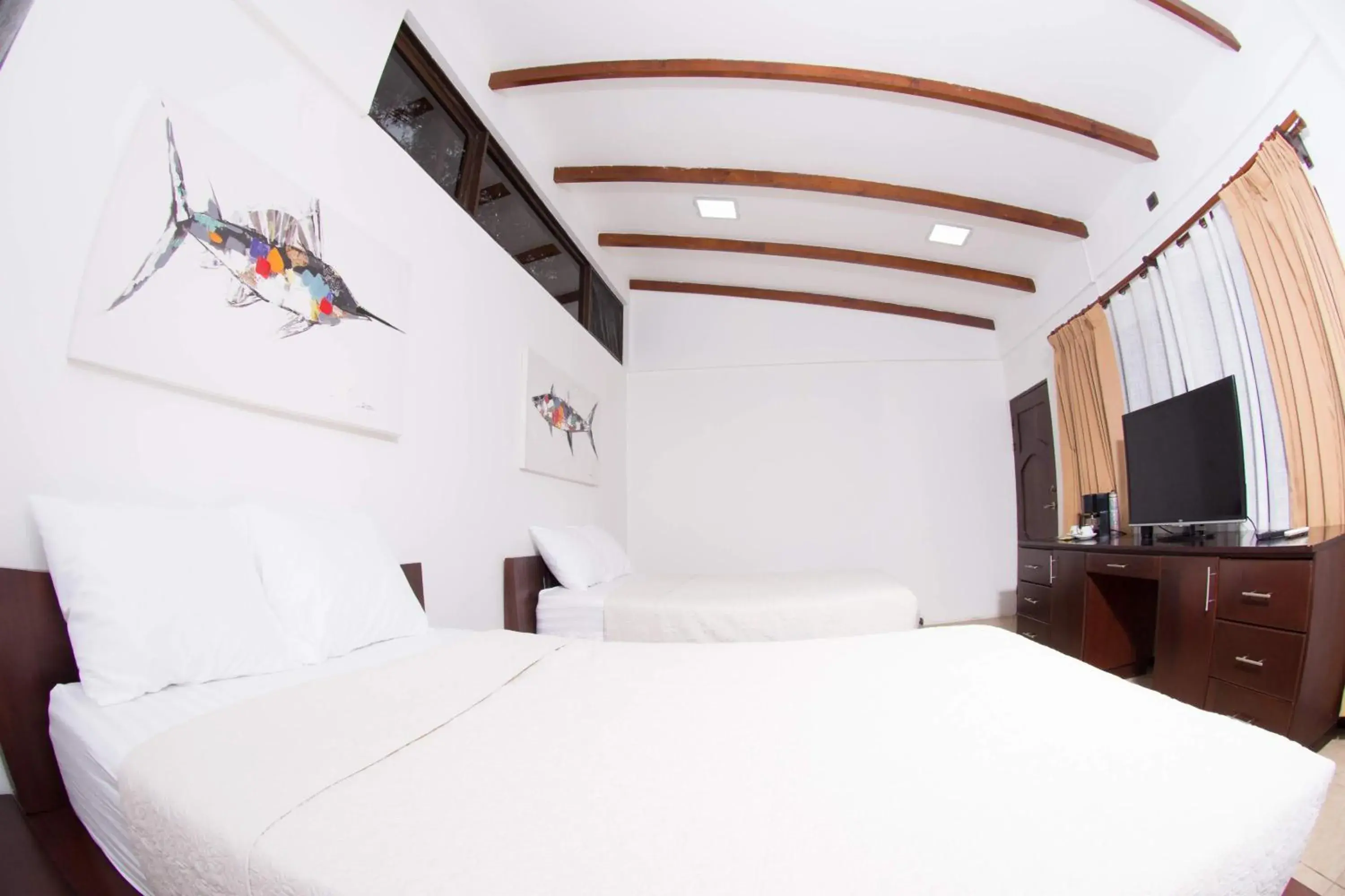 Deluxe Family Room in Café de Playa Beach Front Hotel Deluxe Family Room in Café de Playa Beach Front Hotel