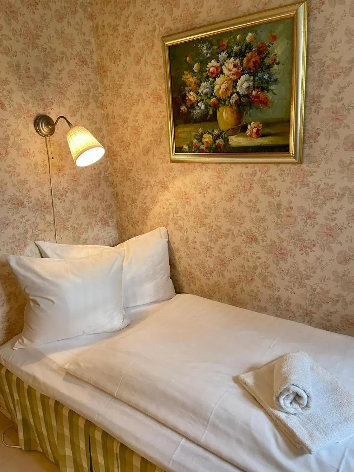 Single Room - single occupancy in Apertins Hotell Single Room - single occupancy in Apertins Hotell
