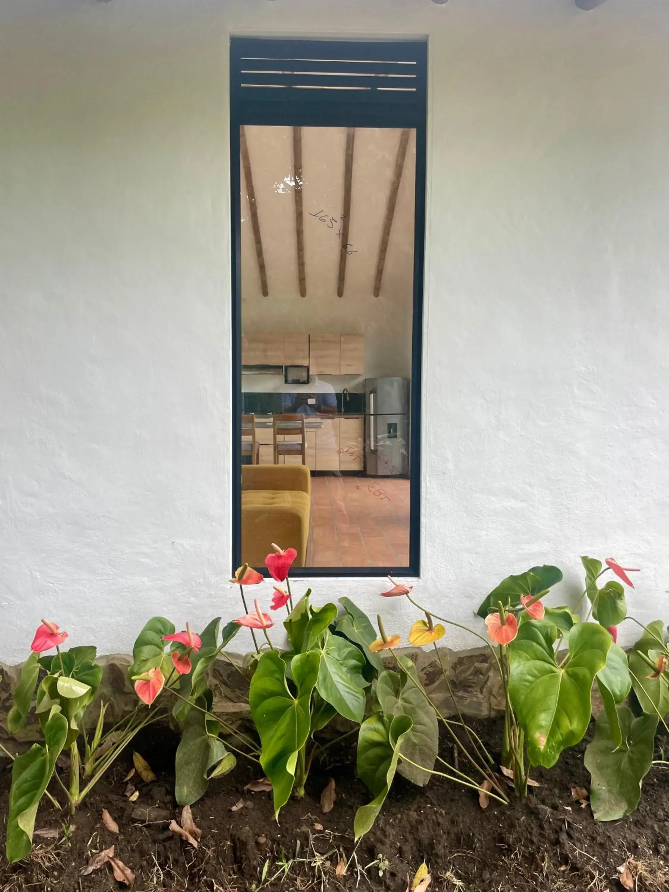 Family Bungalow in Ecohotel Alma Family Bungalow in Ecohotel Alma