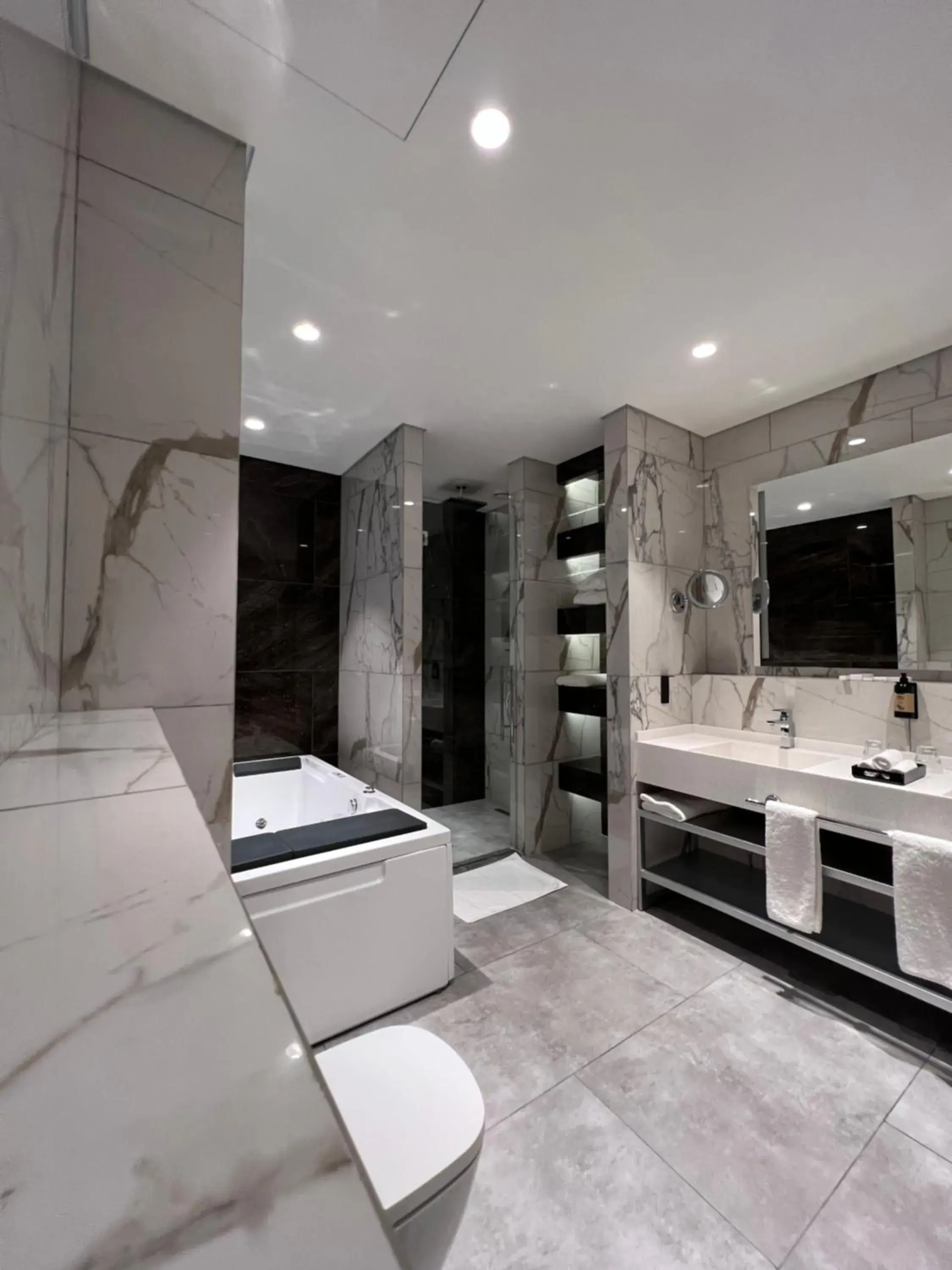 Diplomatic Suite - single occupancy in Wyndham Garden Baku Diplomatic Suite - single occupancy in Wyndham Garden Baku