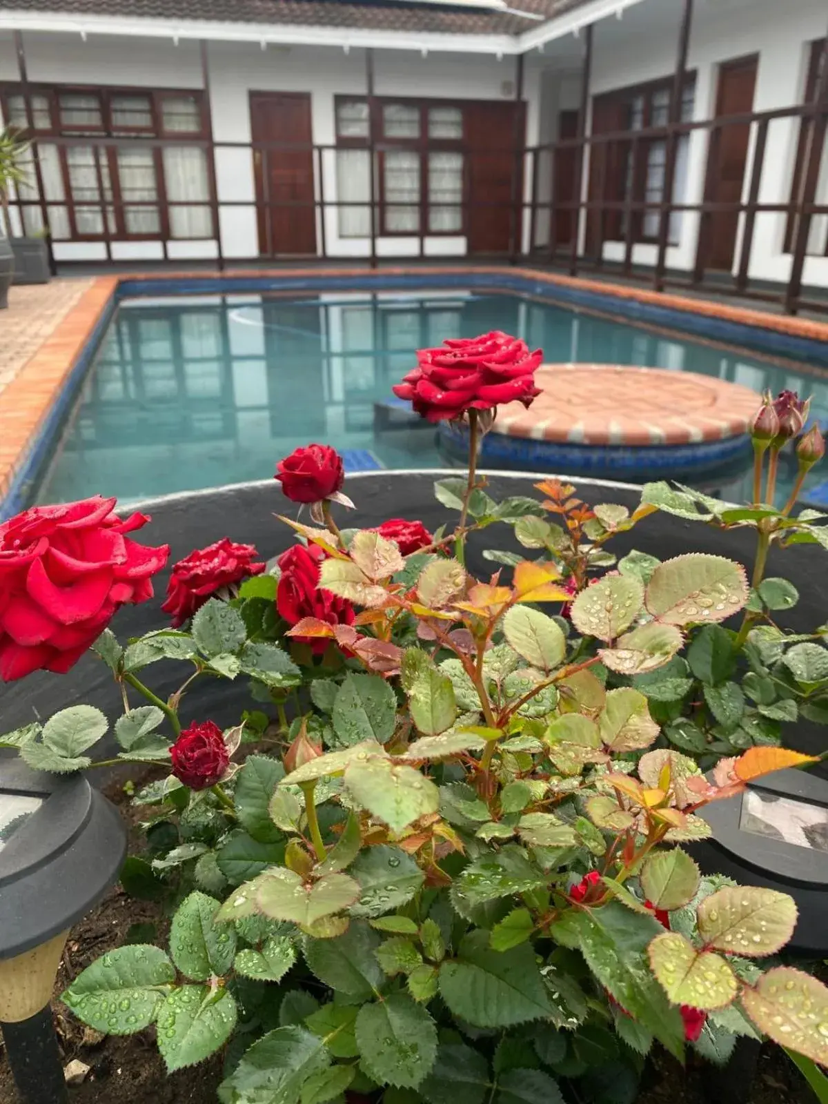 5 Third Avenue Guesthouse 5 Third Avenue Guesthouse