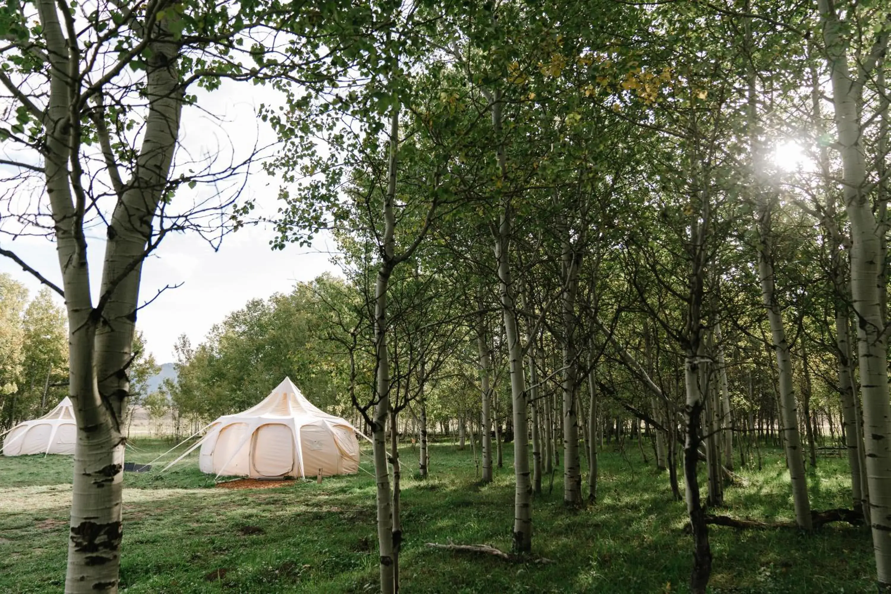 Yellowstone Luxury Couples Tent in Starlight Retreat Yellowstone Yellowstone Luxury Couples Tent in Starlight Retreat Yellowstone