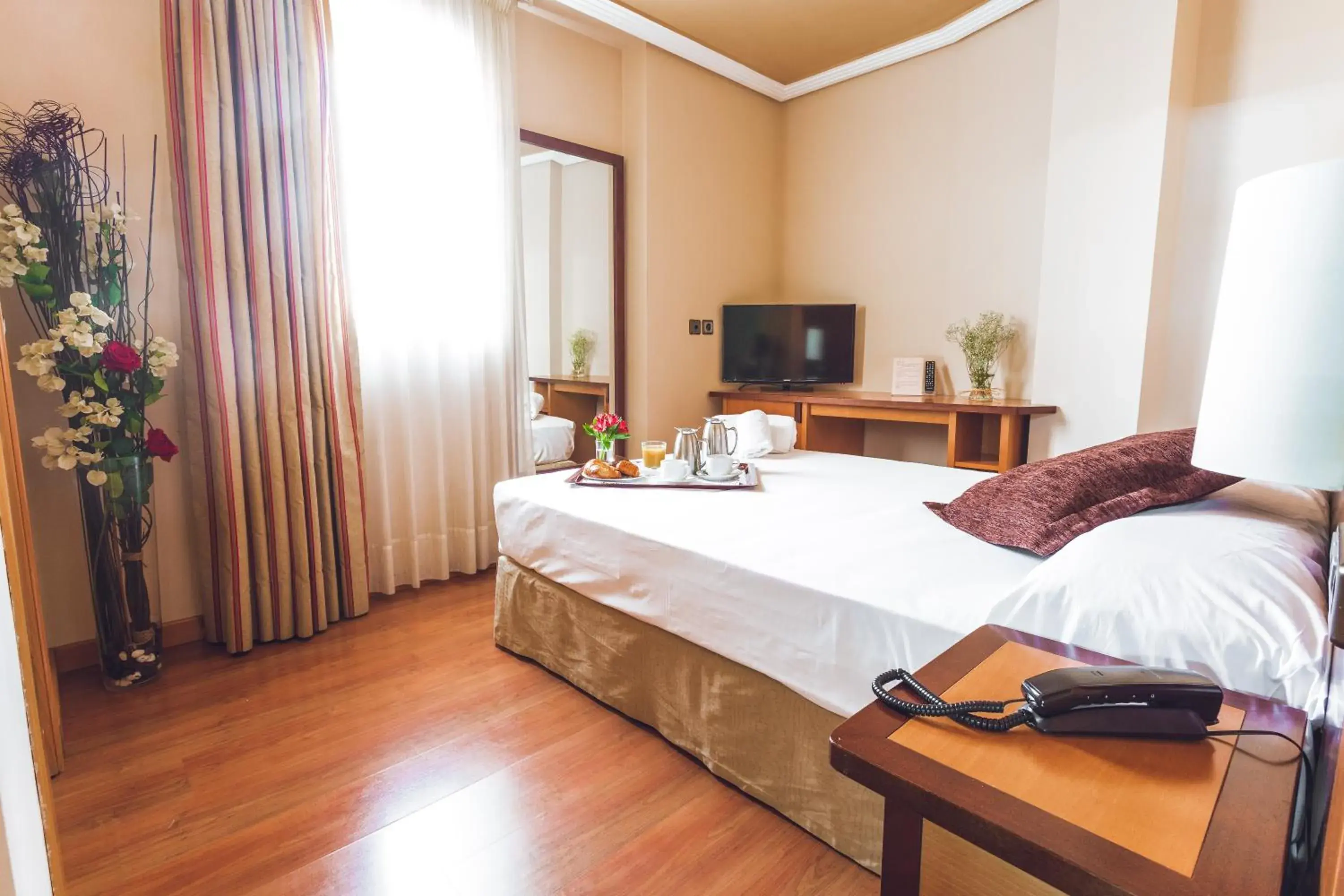 Single Room in Hotel Bardo Recoletos Coco Single Room in Hotel Bardo Recoletos Coco