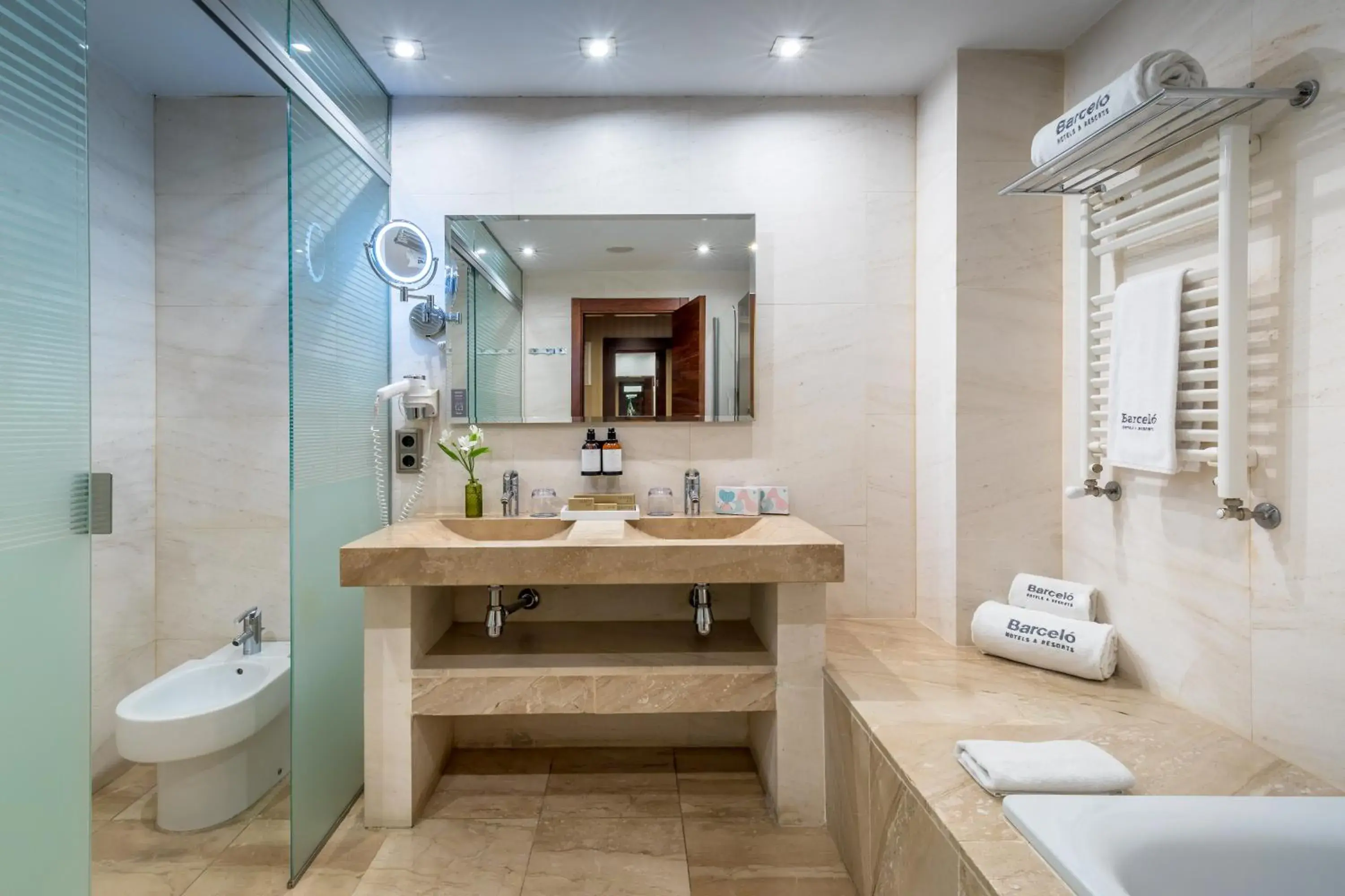 Double or Twin Room with City View in Barceló Granada Congress Double or Twin Room with City View in Barceló Granada Congress