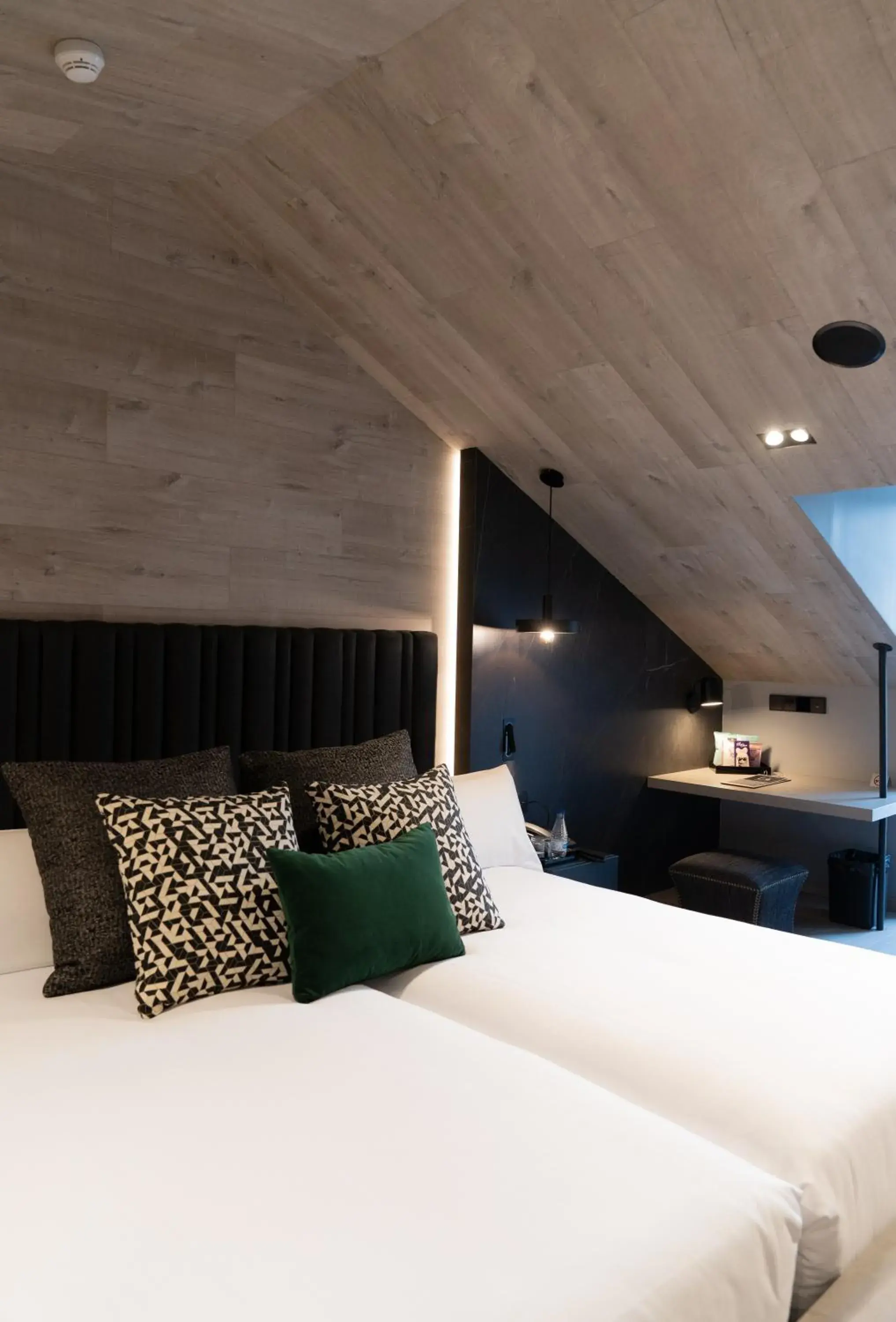 Penthouse Room with Terrace in Hotel Regina Penthouse Room with Terrace in Hotel Regina