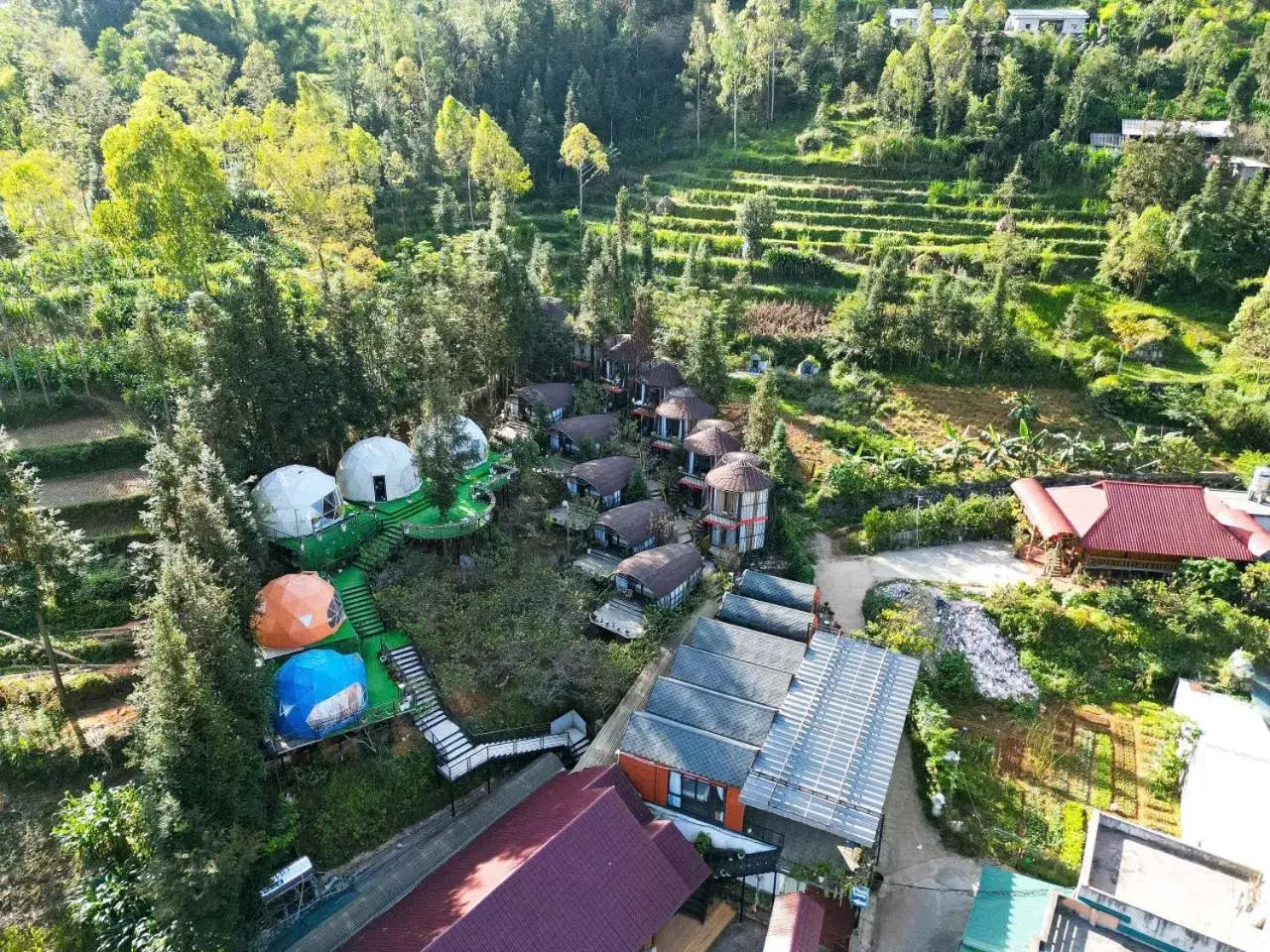 Plum Homestay Đồng Văn Plum Homestay Đồng Văn