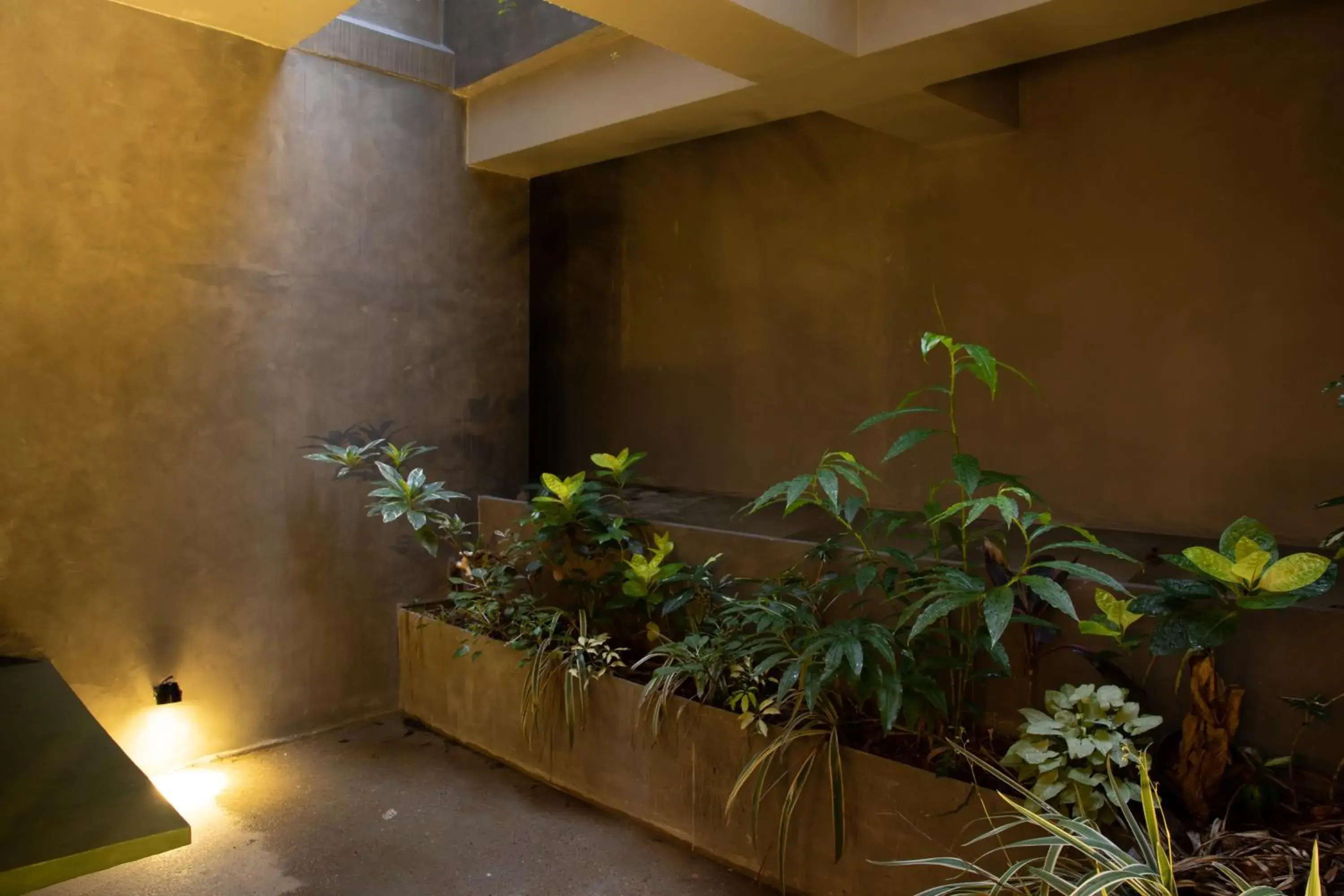 Standard Double Room - single occupancy in Lake Avenue Hotel Kandy Standard Double Room - single occupancy in Lake Avenue Hotel Kandy