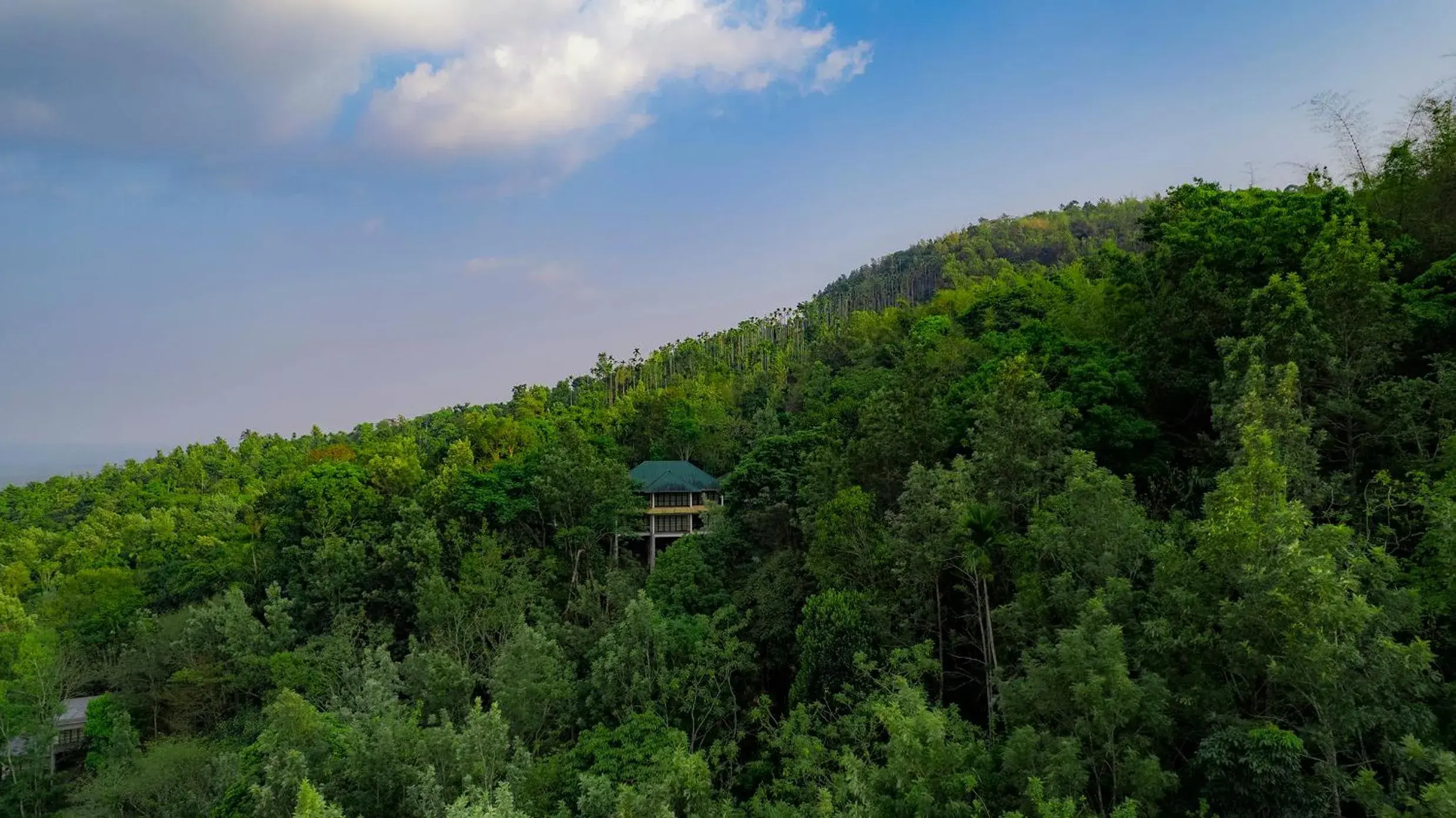 Woods Cottage in The Hive, Wayanad Woods Cottage in The Hive, Wayanad