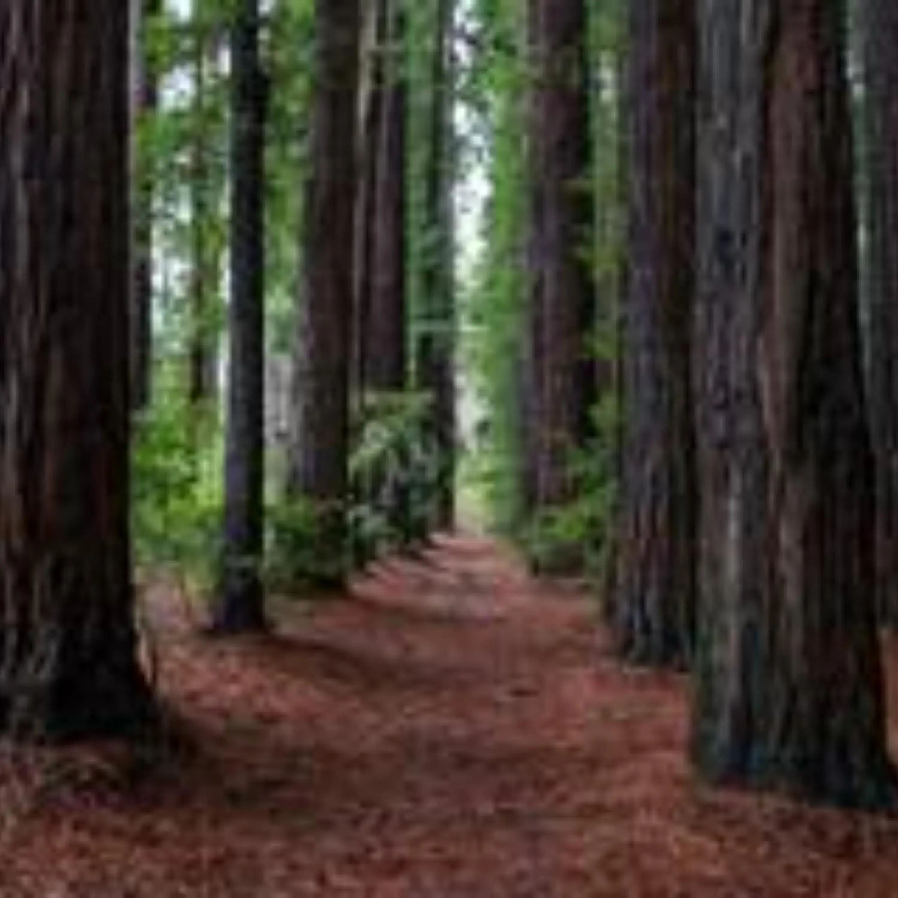 Queen Room in Alpine Hotel, Eat Drink Sleep Queen Room in Alpine Hotel, Eat Drink Sleep