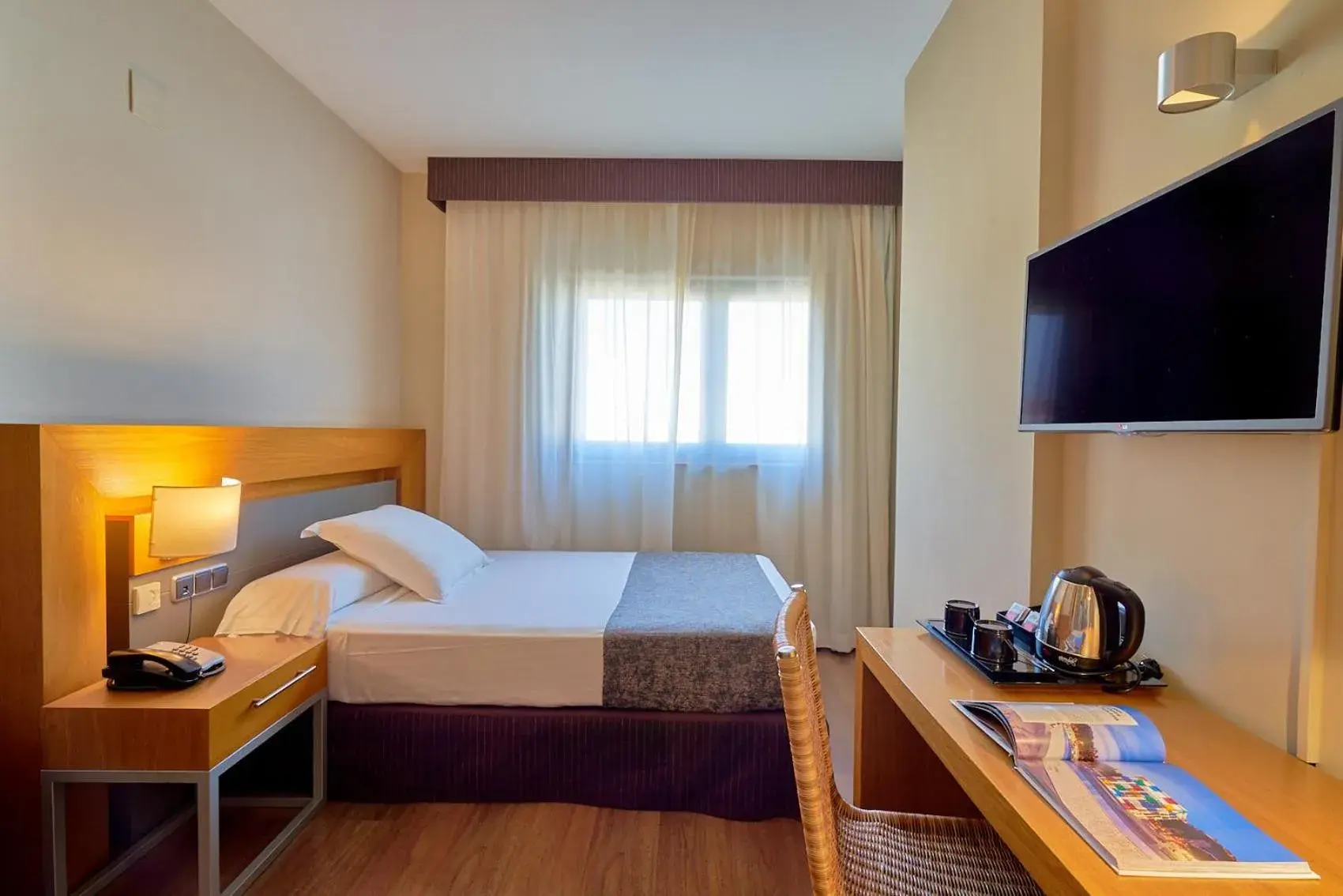 Single Room in Hotel Guadalmedina Single Room in Hotel Guadalmedina