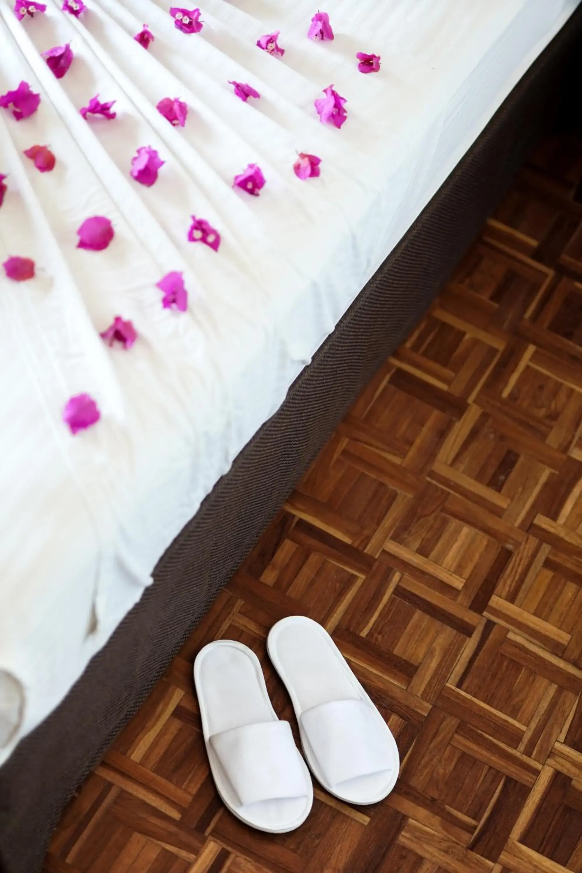 Suite with Sea View - single occupancy in Peacock Beach Resort and Spa Suite with Sea View - single occupancy in Peacock Beach Resort and Spa